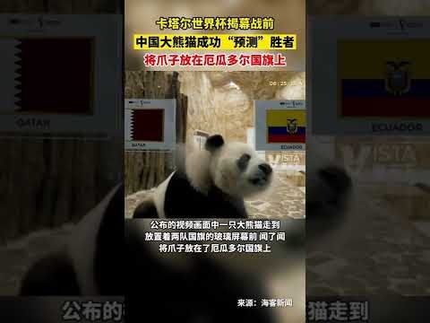 佩里西奇刷,新克罗地亚,国家队射手,彩神网,彩票预测,彩票平台,在线投注,数据分析