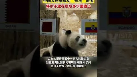 佩里西奇刷新克罗地亚国家队射手榜，仅次于苏克，进球数升至34粒。