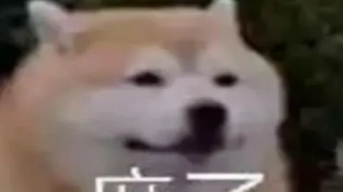 广州影豹5以5比1大胜广东蜀地红，晋级全国总决赛门票已到手