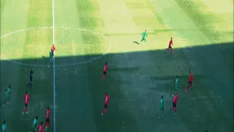 新春就业热潮：春耕繁忙映现中国经济良好开局